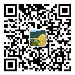 亚投app